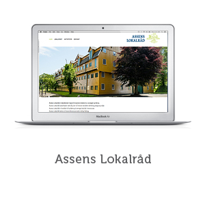 Assens-Lokalråd-web